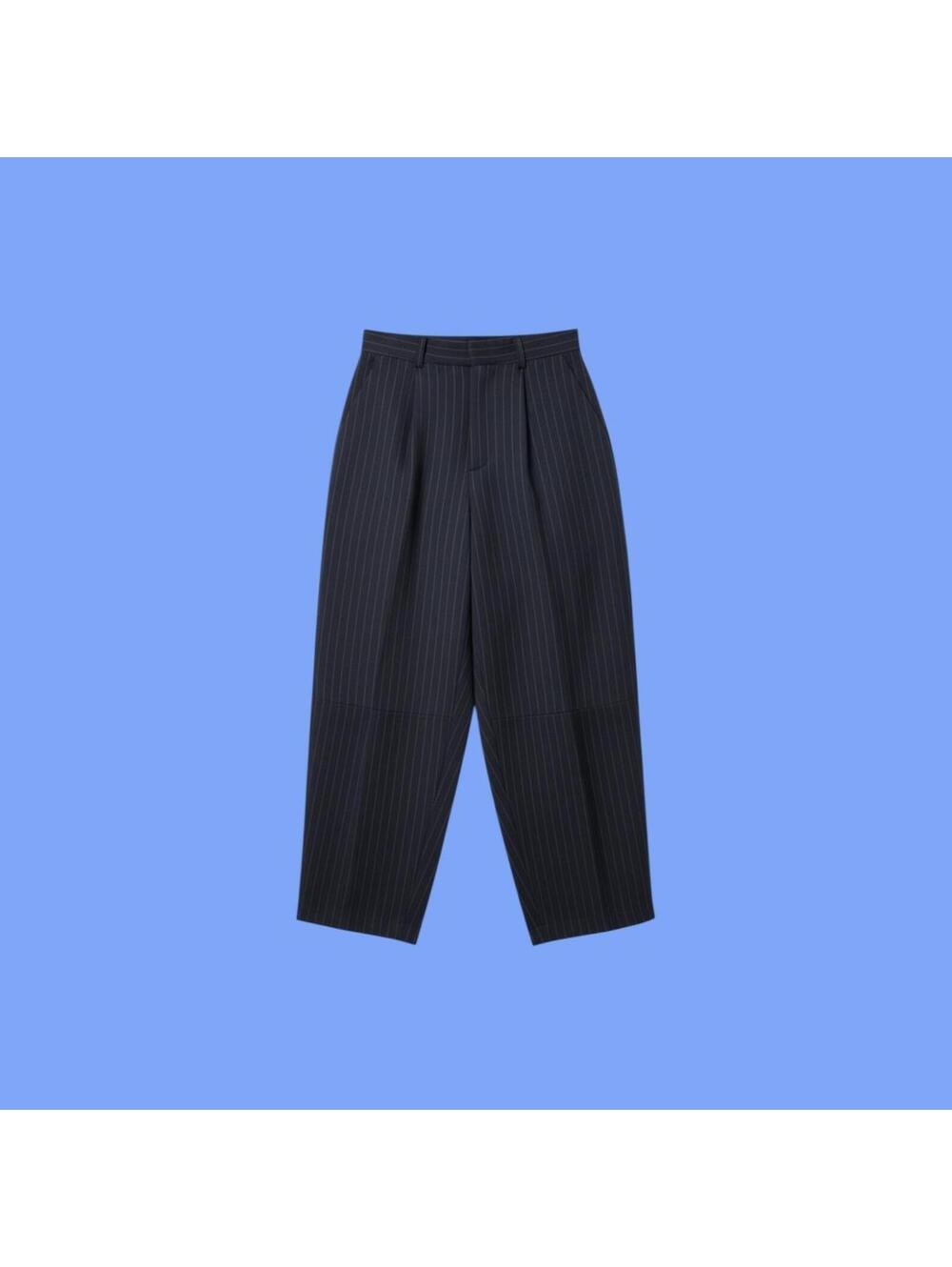 Free People High-Waisted Pleated Pinstripe Barrel Trousers